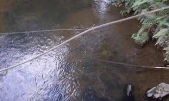 Imagem 4: Chácara Barra das Cruzes Bocaiúva do Sul - PR