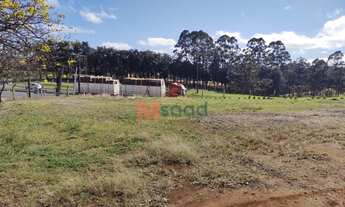 Imagem: Patio Comercial