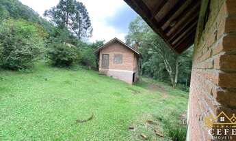 Imagem 6: Sítio / Chácara para Venda em Santa Maria do Herval, Linha Marcondes, 4 dormitórios, 1 ban