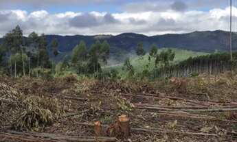 Imagem 5: D7-Fazenda/Sítio/Chácara para venda possui 2,500m² quadrados em aterrado - Salesópolis