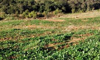 Imagem 6: Terrenos maravilhosos em Ibiúna