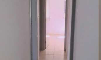 Imagem 4: Gt; Recanto das palmeiras