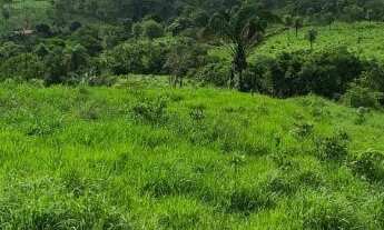 Imagem 3: Fazenda no Tocantins