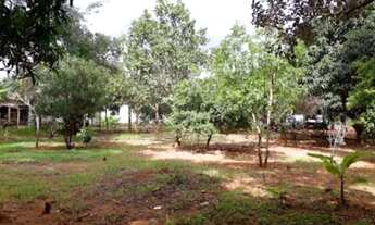 Imagem 7: Chácara - Aluga-se ou vende