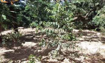 Imagem 4: Sítio para comprar Retiro Das Esmeraldas Esmeraldas