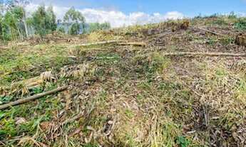 Imagem 3: R5- Fazenda/Sítio/Chácara para venda tem 2500 metros quadrados com 3 quartos