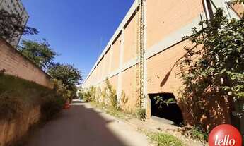 Imagem 6: São Paulo - Galpão/Depósito/Armazém - Mooca