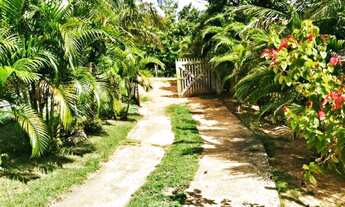 Imagem 3: Sitio com 40.000m² em Barra de pojuca- Porteira Fechada