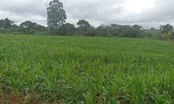 Imagem 5: Lote/Terreno para venda tem 500 metros quadrados em Verava - Ibiúna - SP