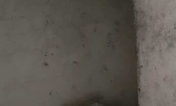 Imagem 7: São Paulo - Galpão/Depósito/Armazém - Jardim Independência