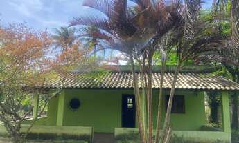 Imagem 3: Vendo em mazomba