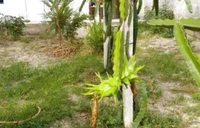 Imagem 6: Venha conhecer e adquira este confortável imóvel!!