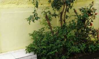 Imagem 3: Térrea para aluguel possui 90 metros quadrados com 3 quartos em Irajá - Rio de Janeiro - R