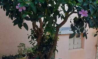 Imagem 2: Sobrado para venda possui 224m² com 3 quartos em Barcelona - São Caetano do Sul - SP