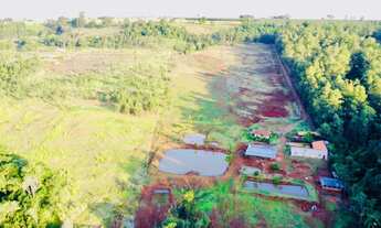 Imagem 6: CHACARA REDEA CURTA ENG BELTRAO - PR 3 ALQUEIRES