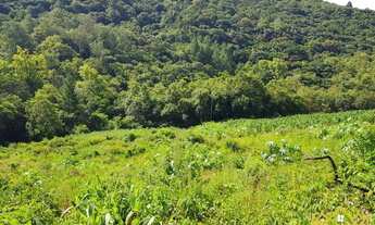 Imagem: Sítio / Chácara para Venda em São Francisco