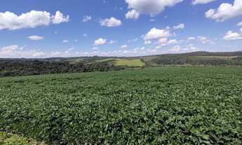 Imagem: Fazenda em itapeva s.p 213 alqueires 32.000.000.00