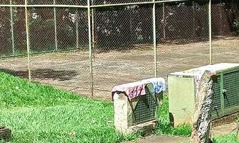 Imagem 3: ALUGA-SE AP MORADA DO BOSQUE