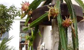 Imagem 5: Venha conhecer e adquira este confortável imóvel!!