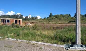 Imagem 5: Terreno para Venda em São Francisco de Paula, Açoita Cavalo