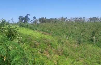 Imagem 4: PD - 45 mil 1000m2