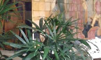 Imagem 4: APARTAMENTO RESIDENCIAL em SÃO CAETANO DO SUL - SP, SANTO ANTÔNIO