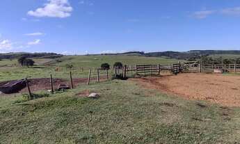 Imagem 4: Fazenda em itapeva s.p 213 alqueires 32.000.000.00 ( vice