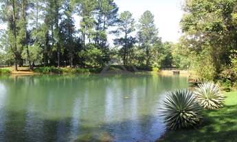 Imagem 7: Terreno - Barão Geraldo - Campinas