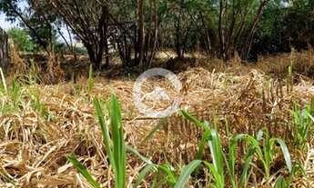 Imagem 4: Terreno - Parque Rural Fazenda Santa Cândida - Campinas