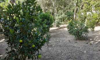 Imagem 6: Chácara a venda