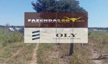 Imagem 6: Fazenda Extra - 206 alqueires - Pontal do Araguaia - MT ! Dupla aptidão !