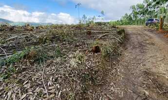 Imagem 3: Lançamento lotes plainos para você. 2500 metros quadrados em Centro - Salesópolis - SP