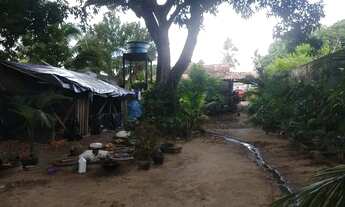 Imagem 5: Vende-se sítio 90 mil