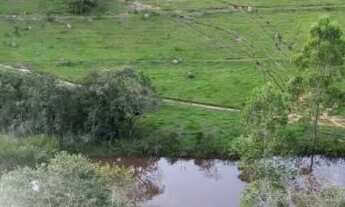 Imagem: Fazenda disponível para venda !