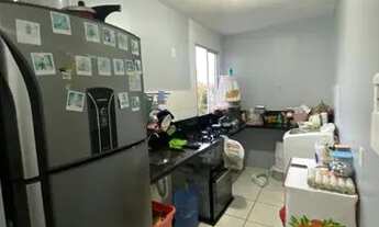 Imagem: Conquista premium Aleixo 02 quartos