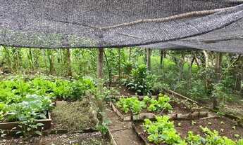 Imagem 5: Sítio na Linha Temerária em Nova Petrópolis!