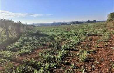 Imagem 4: Lote / Terreno para venda em Chácara Cruzeiro Do Sul de 20132.85m² com 10 Garagens