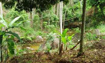 Imagem 7: Vendo está propriedade de 6,27 ( seis Alqueires e vinte sete litros ). no Município de Atí