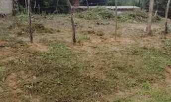 Imagem 3: Terreno em cabucu