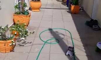 Imagem 7: Belíssima casa para locação, em Bento Ribeiro