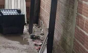 Imagem 6: Vendo casa no caximba 40 mil