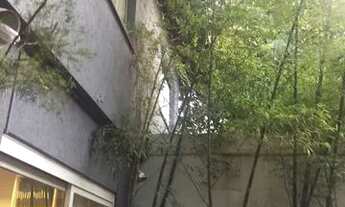 Imagem 3: ÓTIMO CASARÃO COMERCIAL COM RENDA