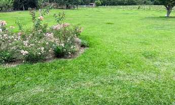 Imagem 3: Lu, Terreno possui 200 metros quadrados em Senzala - Carpina - Pe