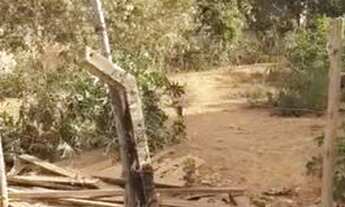 Imagem 5: Terreno 600 metros, plano no sao joaquim de bicas