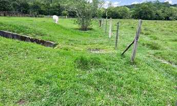 Imagem 2: Lu, terreno/lote possui 155 metros quadrados em - Goiana - Pe