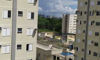 Imagem: Vista das Embaúbas