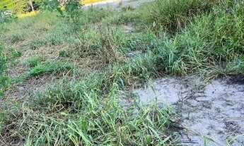 Imagem 3: Vendo - terreno em Laranjeiras Velha- ES