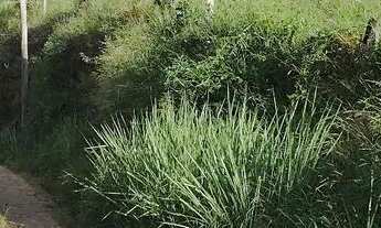 Imagem 6: Terreno em Barra do Pirai