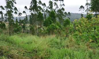 Imagem 3: Terrenos e chácaras no Interior liberado pra construir Cd. KAH