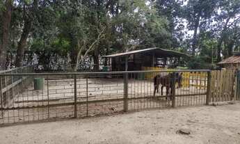 Imagem 4: Apartamento 1 quarto no bairro ingleses em florianópolis